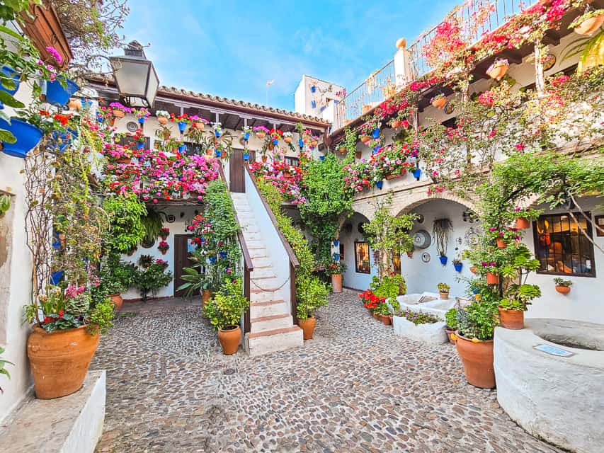 A Cordoba patio: a whitewashed courtyard hung with potted geraniums in bloom.